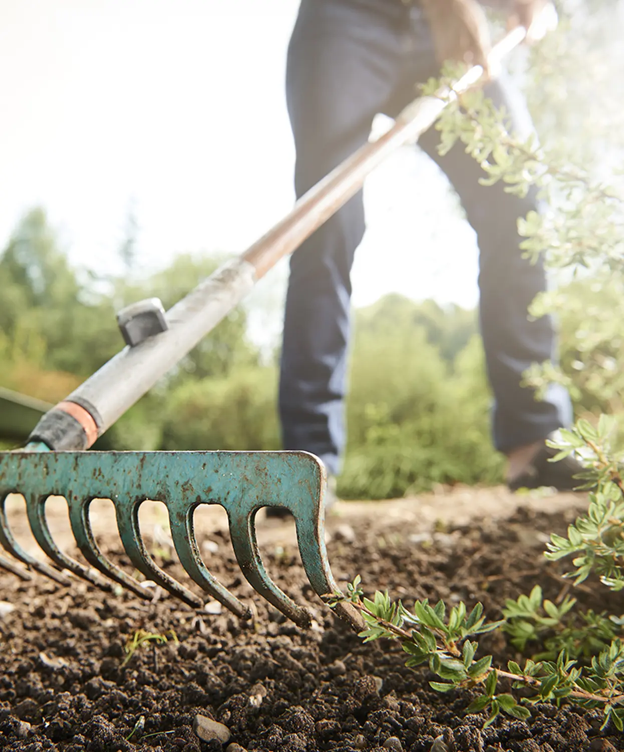 Gartenpflege von Dienstleistungen-Main-Spessart 